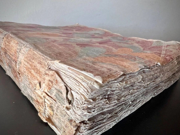 Митники віднайшли та передали стародавню латиномовну книгу XVIII…