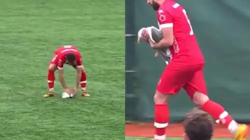 Футболіст врятував чайку від смерті: вражаюча історія з Стамбула