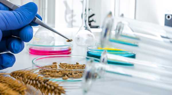 ePhyto: 140 тисяч електронних сертифікатів видано за рік