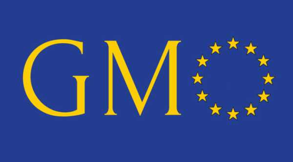 Україна адаптувала своє законодавство до європейських стандартів щодо ГМО