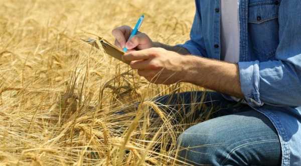 AGRO 360: стартує український освітній проєкт для агробізнесу, що штурмує врожай