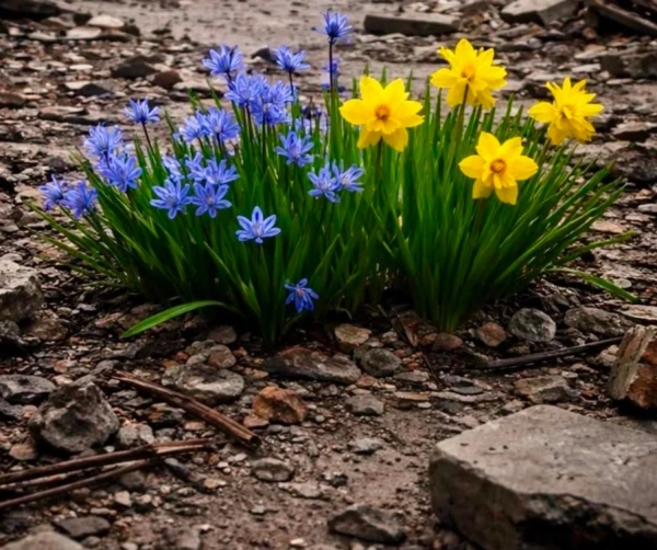 Сльози на очах: Софія Ротару потужно звернулася до українців у роковини вторгнення