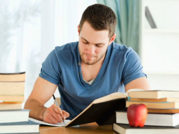 Науковці виявили принципові відмінності в мозку технічних та гуманітарних спеціалістів