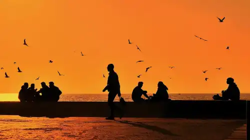 Бог грає в карти наосліп: як незнання дарує нам шанс на справжнє життя