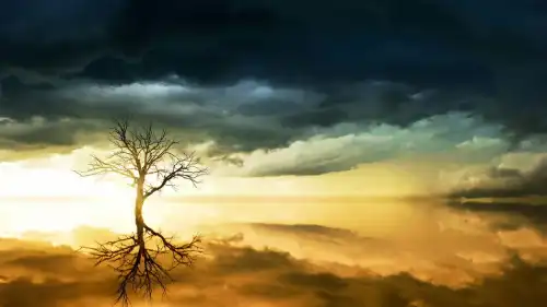 Знову врятуємо світ: як побороти глобальні виклики разом