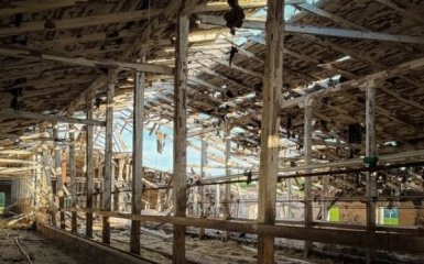 Російський дрон цілеспрямовано атакував ферму на Сумщині: є поранені.
