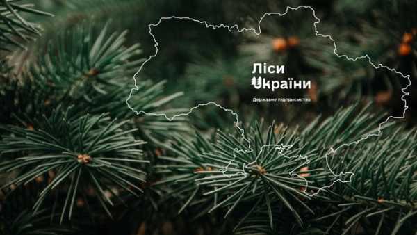 “Телент Едвайзорс” визнано переможцем у відборі консультанта з пошуку генерального директора ДП “Ліси України”