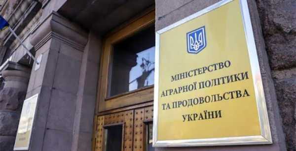 Мінагрополітики виділять з Мінекономіки за два місяці — Висоцький — КУРКУЛЬ