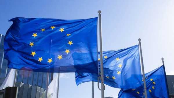 ЄС із 12 серпня вводить нові норми ввезення продуктів тваринного походження – Держпродспоживслужба