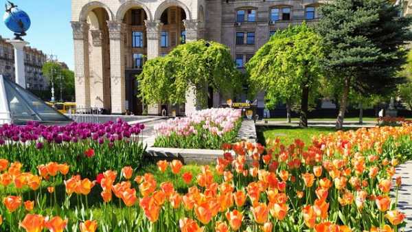 Київ лідирує за сплаченим екологічним податком, загалом за 7 місяців 2026 року…