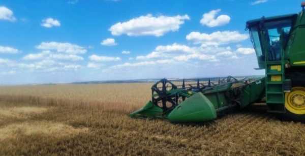 На Донеччині, незважаючи на ворожі обстріли, зібрано 60% ранніх зернових культур — КУРКУЛЬ