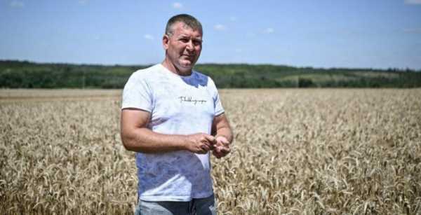 Загроза обстрілів змушує фермерів у прифронтових областях відмовлятися від зберігання зерна —…