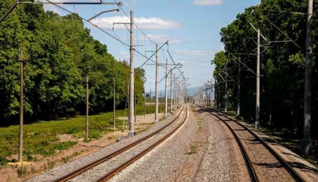 Фото євроколії, що електрифікується
