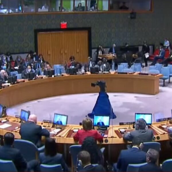 Радбез ООН потребує реформи: експерт розкриває шляхи до справедливості