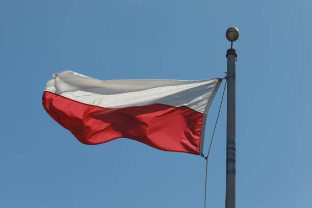 Військові можуть отримати від Польщі новітні системи ППО, зокрема NASAMS, які також використовуються у США