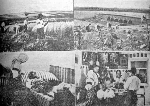 Кадри з фільму «До добра і краси»: картини зі жнив та сцени в хаті справника кооперативи