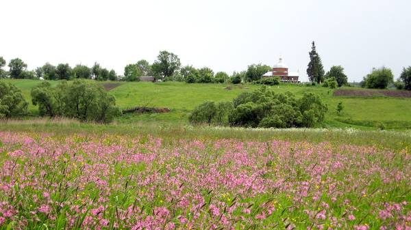 Вид на стависько і монастирище від Іванової греблі