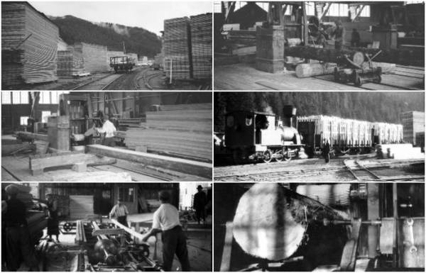Сколівський тартак на унікальних світлинах 100-літньої давнини