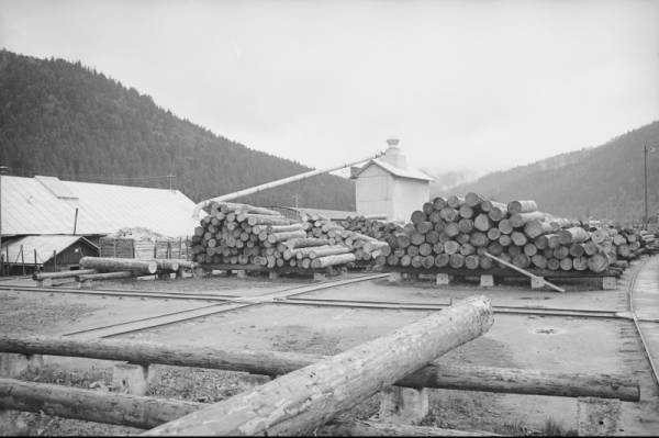Тартак у Сколе, фото 1920 року