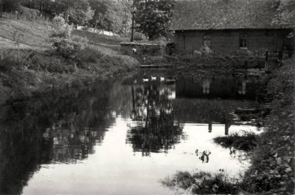 Львів, Софіївка, жовтень 1960 року. Світлина Юліана Дороша