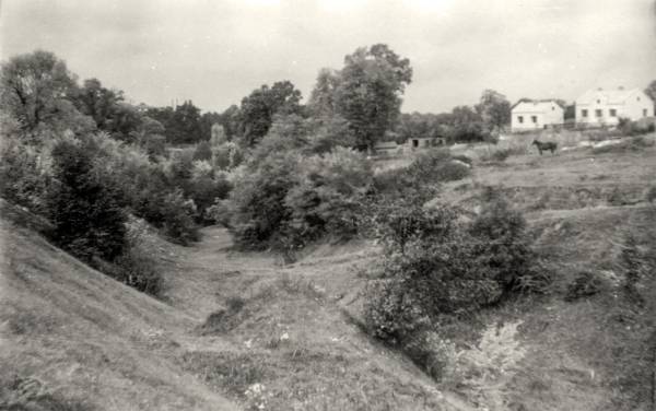 Львів, Софіївка, жовтень 1960 року. Світлина Юліана Дороша