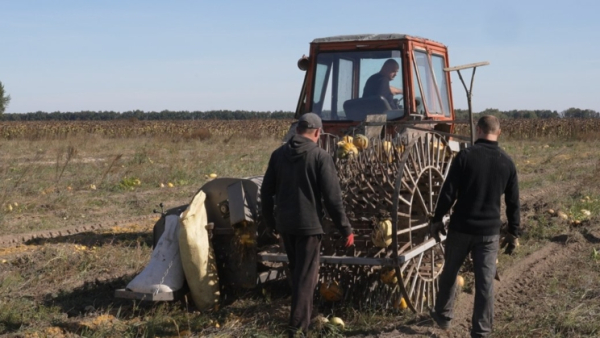 Чернігівські інженери сконструювали унікальний пристрій для збирання гарбузів