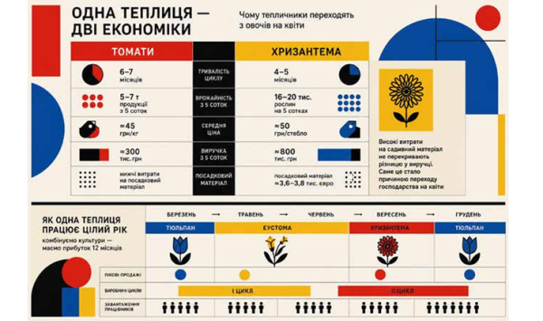 Фермери Півдня переорієнтували виробництво: нові ціни на томати диктують умови
